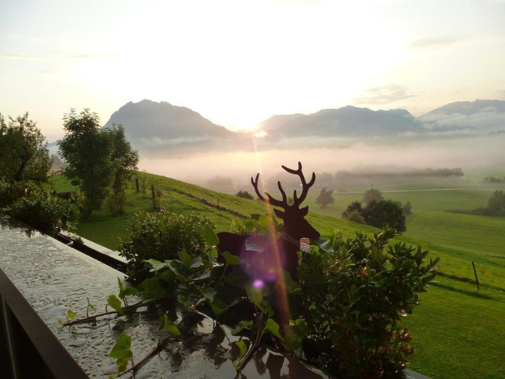 Alpenlodge Allgaeu 5* أوفتيرشفانغ المظهر الخارجي الصورة